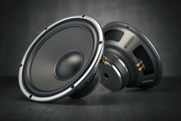 audio component speaker supplier