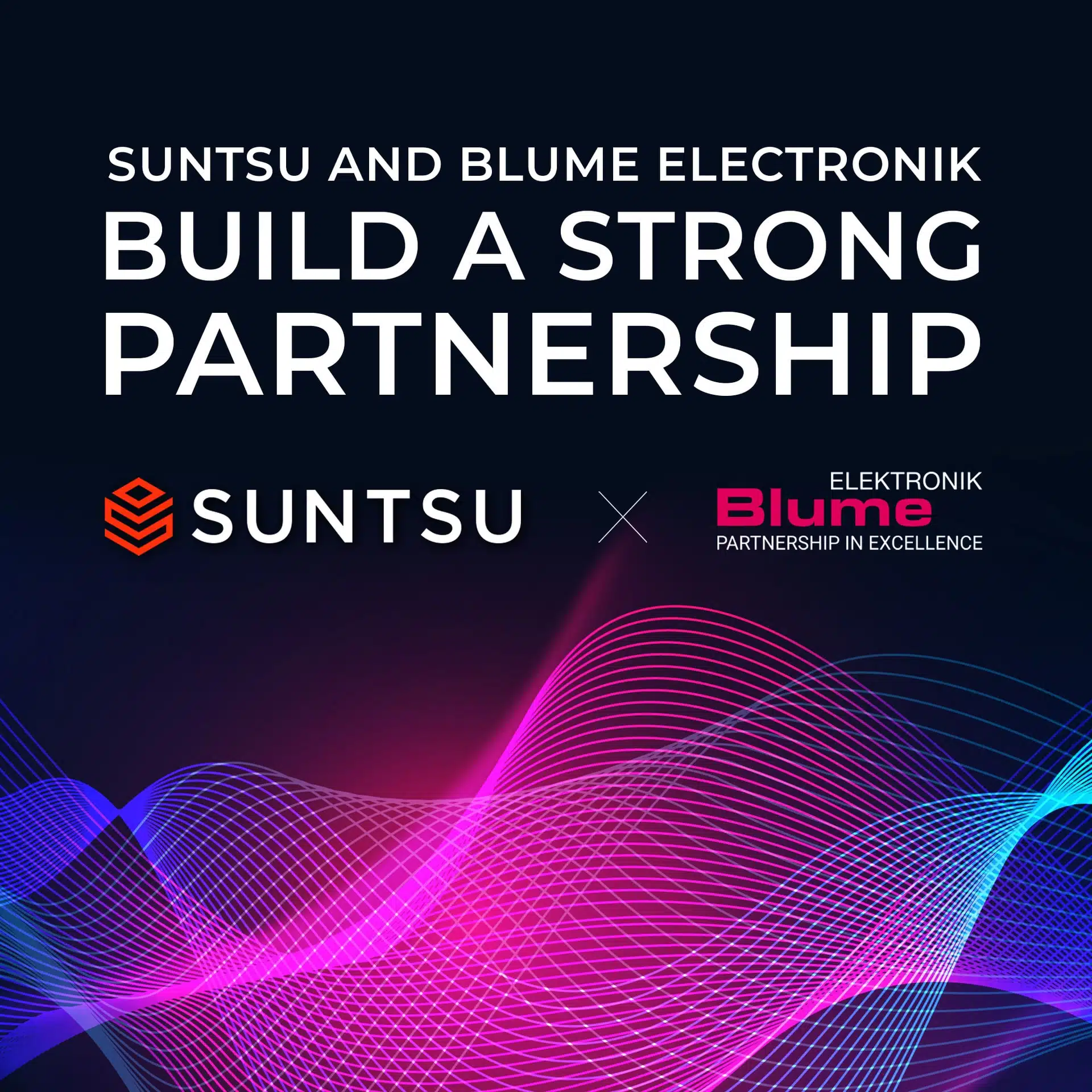Suntsu and Blume Electronik